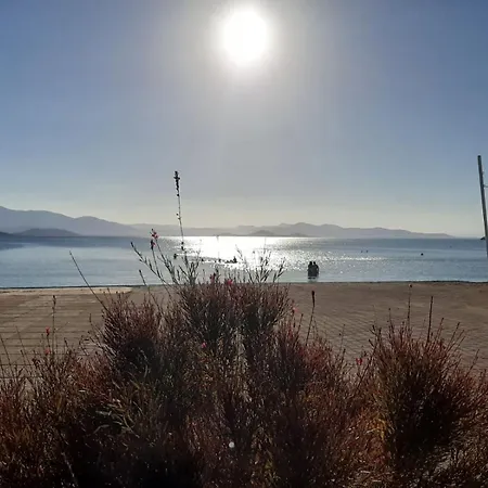 Orion Front Sea * Theologos (Phthiotis)
